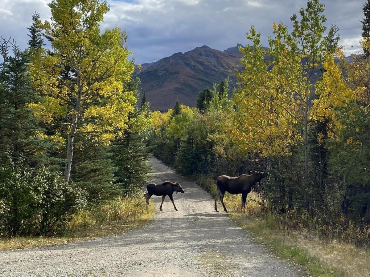 Denali Park View Family Log Cabin エクステリア 写真