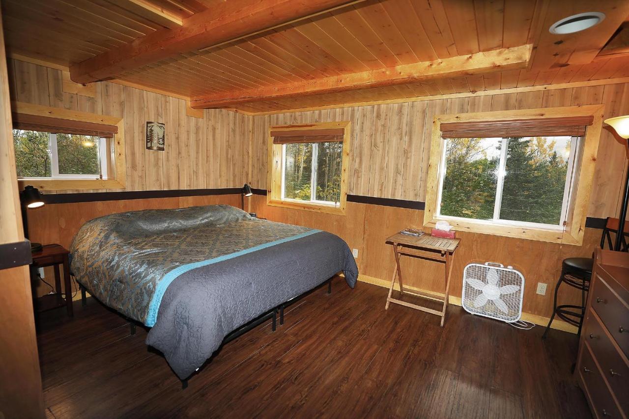 Denali Park View Family Log Cabin エクステリア 写真
