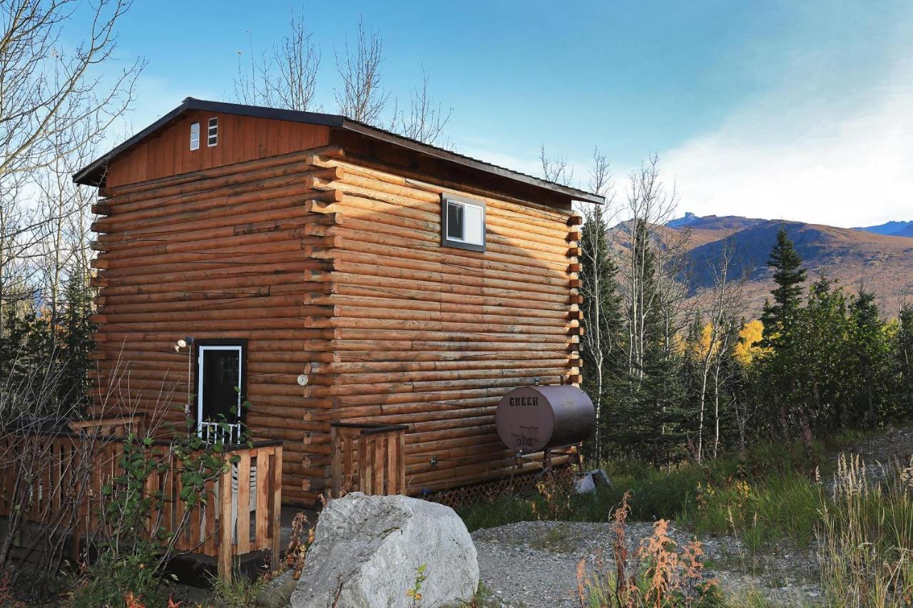 Denali Park View Family Log Cabin エクステリア 写真