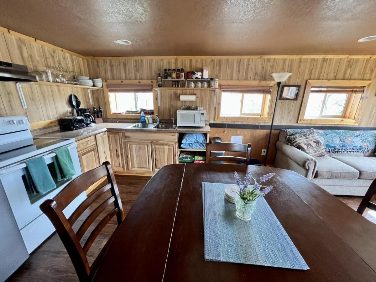 Denali Park View Family Log Cabin エクステリア 写真